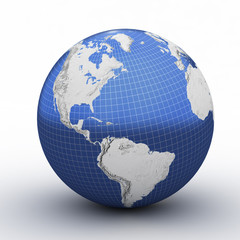globe perspective with grid  isolated on white