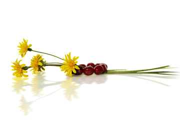 bracelet et fleurs