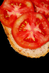 tomato sandwich