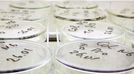 microbiology science