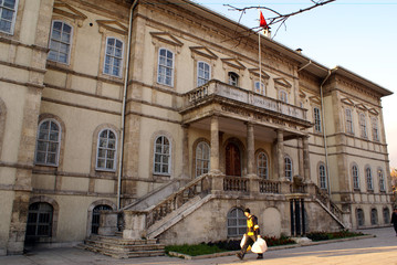 Naklejka premium palace in sivas