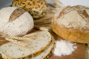 fresh different kinds of bread with sour and wheat