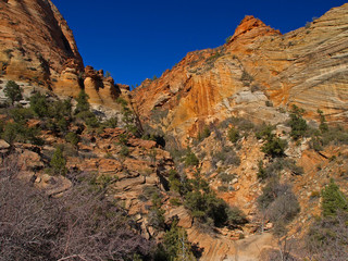 mountains in zion national park