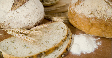 fresh different kinds of bread with sour and wheat