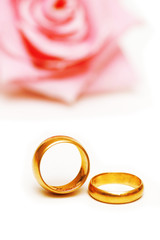 two golden wedding rings and a pink rose