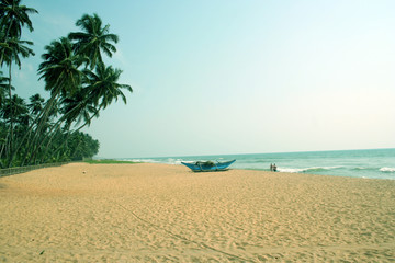 tropical beach with palm tree