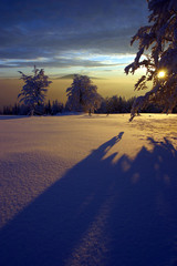 winter