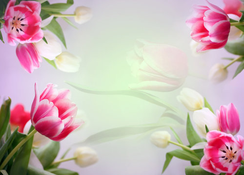 tender floral background