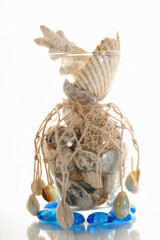 sea cockleshells and stones