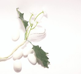 dragées
