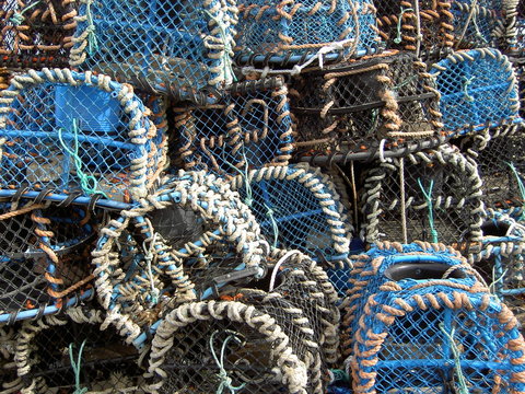 Fototapeta casier en paguaille