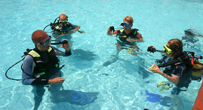 Scuba Diving Lessons