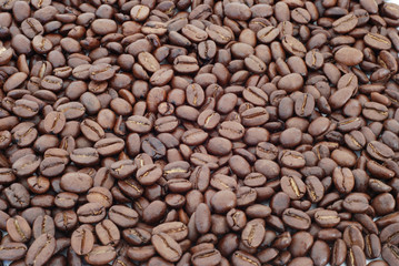 coffee beans background