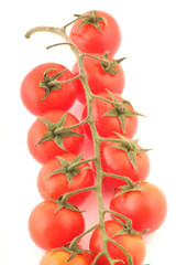 tomaten