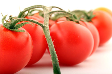 tomaten