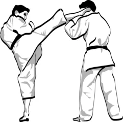 Photo sur Plexiglas Arts martiaux combat