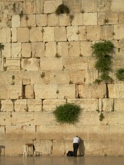 homme priant devant le mur des lamentations