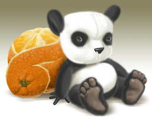 panda and an orange