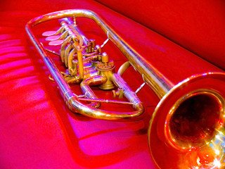 trumpet