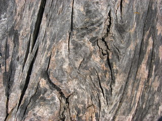 wood texture