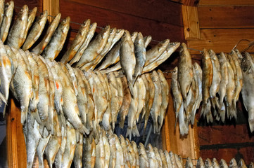 dry fish in the room