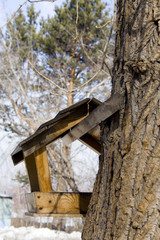 feeding-trough for birds and small animals like a squirrels