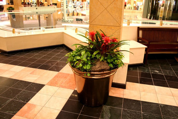 interior of mall