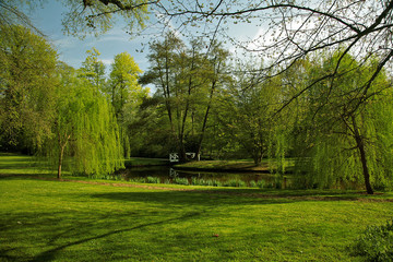 green scenery