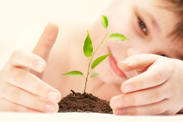 the boy observes cultivation of a young plant.