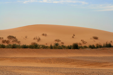 dune