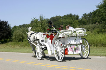 horse-drawn newlyweds
