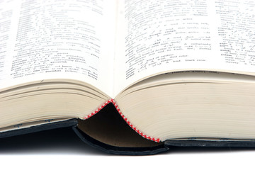 Obraz premium open book