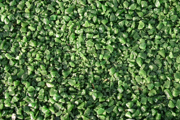 green grave covering stones
