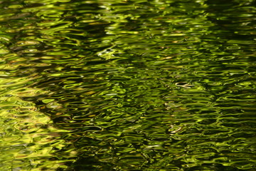 green ripples blur background