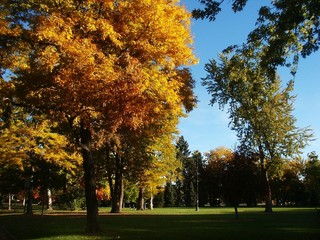 A City Park In Autumn In Denver Colorado