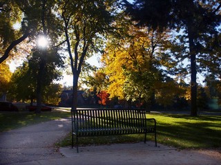 Park Bench Ina Autumn Park