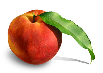 peach with leaf 2