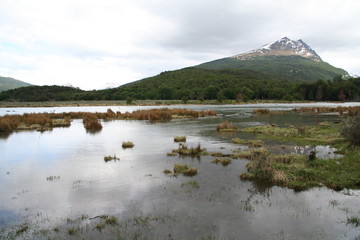 parc de terre de feu - patagonie