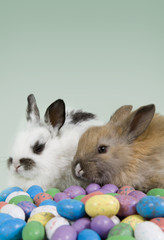 easter scene