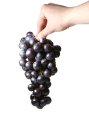 uva in a hand