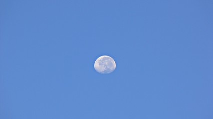 moon in summer sky