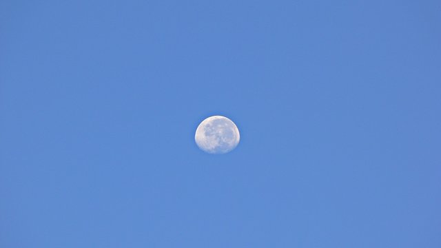 moon in summer sky