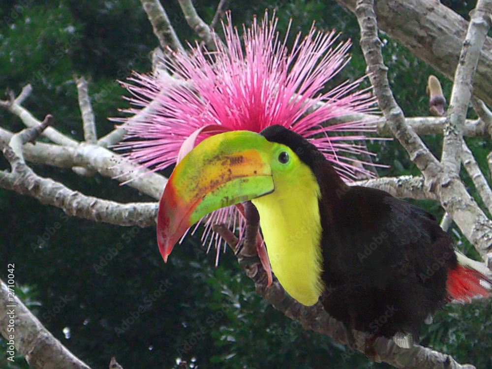 1000_F_2710042_t9Fl80FGle2OQwoCDi6yri6LzMkldW.jpg