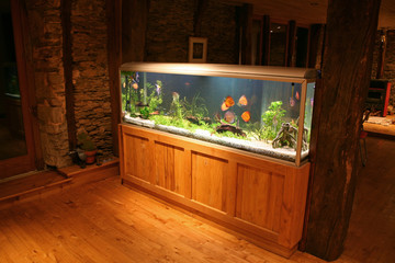 fish tank - 2710665