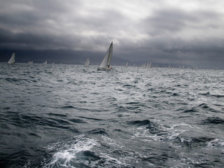 veleros en acción en plena regata