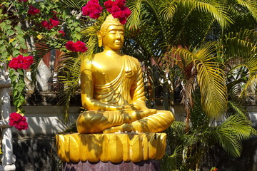 buddhism 1