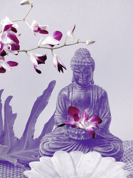 buddha altar