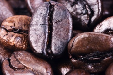 coffee bean close up