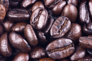 coffee bean close up