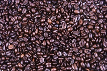 coffee bean close up